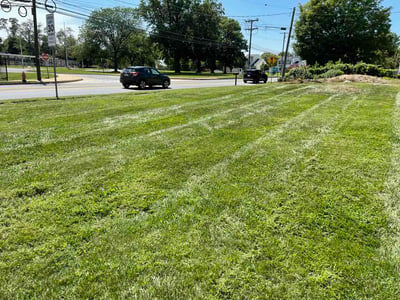 Lawn care service in Pikesville, 21208