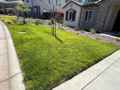Lawn care service in Cameron Park, 95682