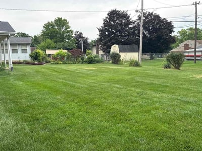 Lawn care service in Dayton, 45426