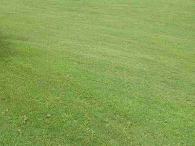 Lawn care service in Lawrenceville, 30043