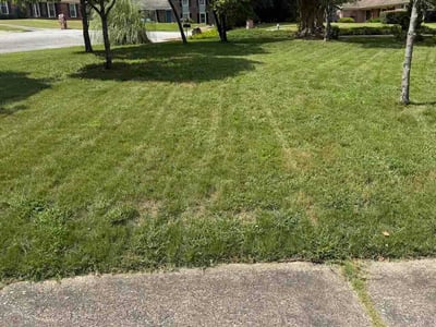 Lawn care service in Columbus, 31909