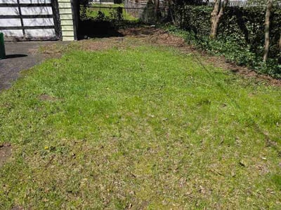 Lawn care service in Rochester, 14609