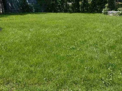 Lawn care service in Des Moines, 50315