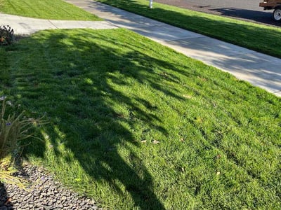 Lawn care service in Boise, 83714