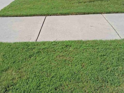 Lawn care service in Durham, 27703