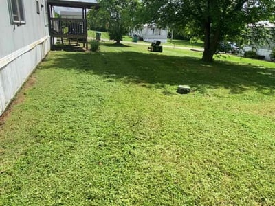 Lawn care service in Seymour, 37865
