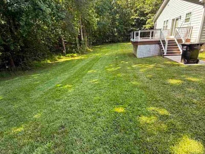 Lawn care service in Garner, 27529