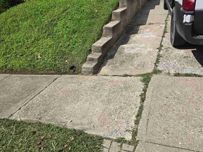 Lawn care service in Cincinnati, 45208