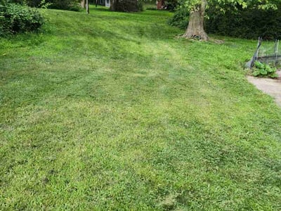 Lawn care service in Southbury, 06488
