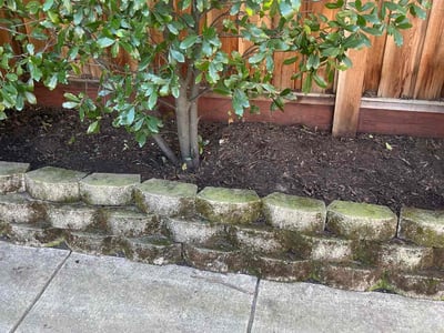 Lawn care service in Roseville, 95747