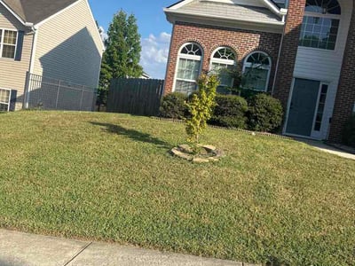 Lawn care service in Raleigh, 27610
