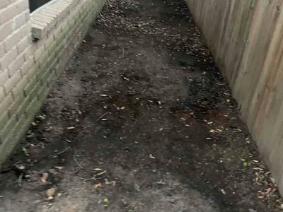 Lawn care service in Spring, 77379