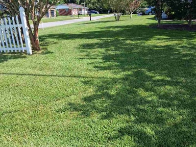 Lawn care service in Suffolk, 23435