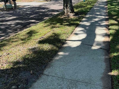 Lawn care service in Tarpon Springs, 34689