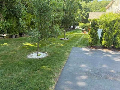 Lawn care service in Cheshire, 06410