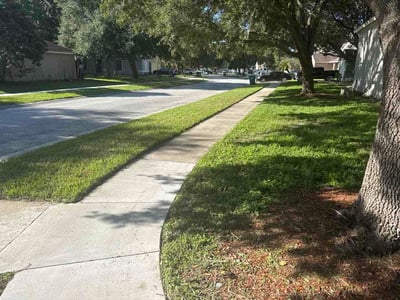 Lawn care service in Wesley Chapel, 33545