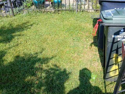 Lawn care service in Washington, 20003