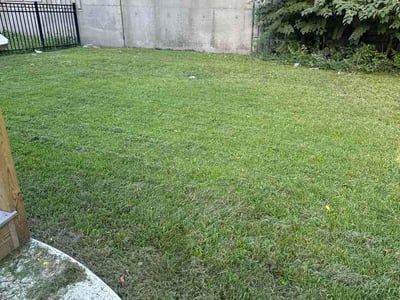 Lawn care service in Worcester, 01605
