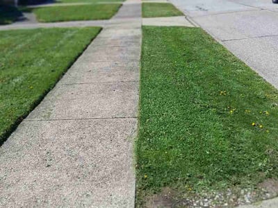 Lawn care service in Parma, 44129