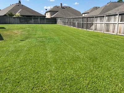 Lawn care service in Spring, 77379