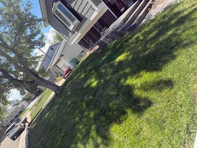 Lawn care service in Morrison, 80465