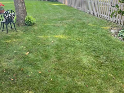 Lawn care service in Eden Prairie, 55347