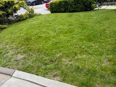 Lawn care service in Pittsburgh, 15217