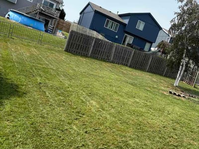 Lawn care service in Omaha, 68137