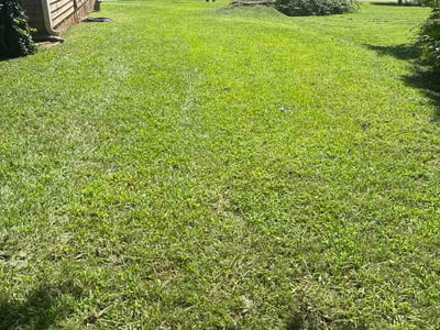 Lawn care service in Stockbridge, 30281