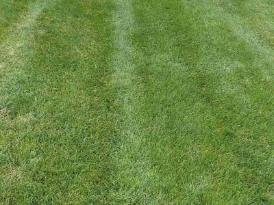 Lawn care service in Mechanicsburg, 17050