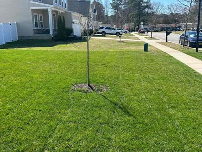 Lawn care service in Hampton, 23666