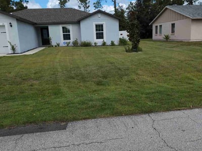 Lawn care service in Palm Coast, 32164