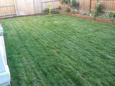 Lawn care service in Roseville, 95747
