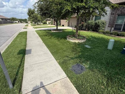 Lawn care service in Hutto, 78634