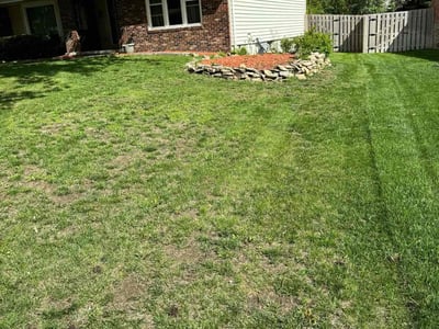 Lawn care service in Omaha, 68144