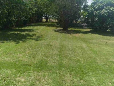 Lawn care service in Thrall, 76578