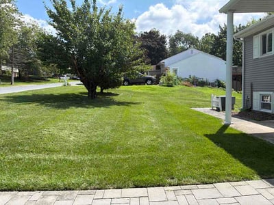 Lawn care service in Harrisburg, 17111