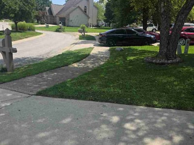 Lawn care service in Greenwood, 46142