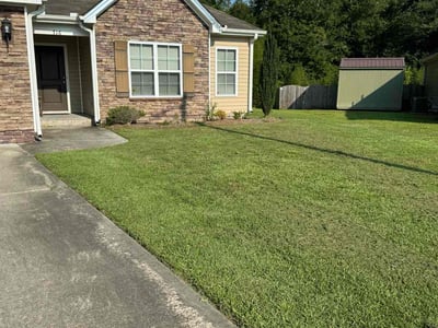Lawn care service in Greenville, 27834