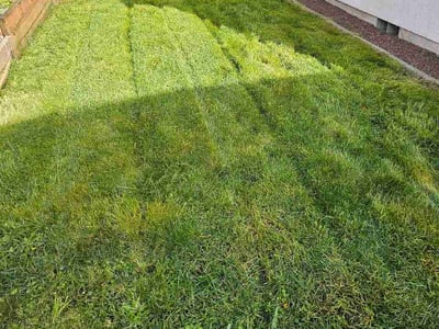 Lawn care service in Puyallup, 98373