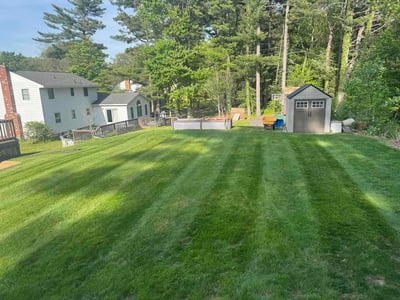 Lawn care service in Clifton Park, 12065