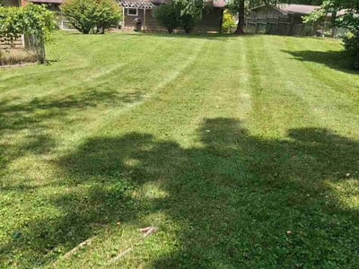 Lawn care service in Johnson City, 37601
