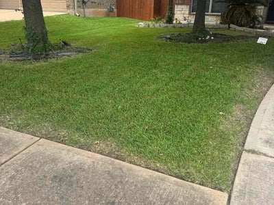 Lawn care service in Round Rock, 78681