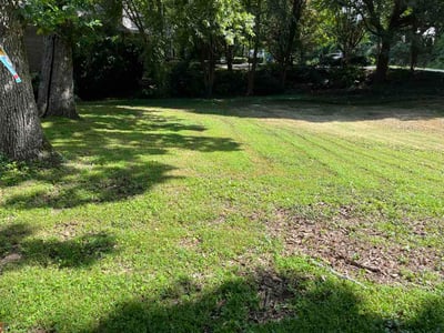 Lawn care service in Atlanta, 30319