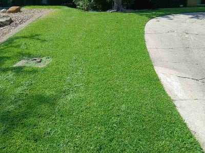 Lawn care service in Fort Worth, 76116