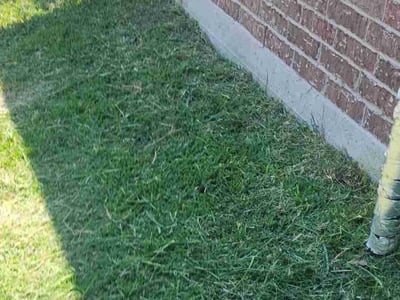 Lawn care service in Killeen, 76549