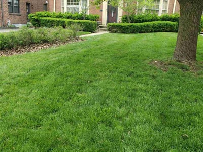 Lawn care service in Indianapolis, 46208