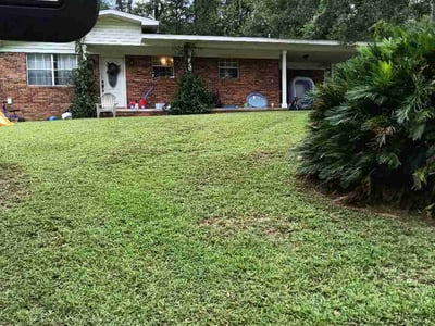 Lawn care service in Tallahassee, 32301