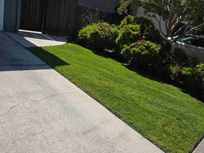 Lawn care service in Sonoma, 95476