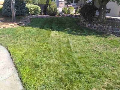 Lawn care service in Colorado Springs, 80920
